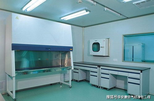 合肥市無菌凈化車間設(shè)計與施工 以惟物實驗室為例的實踐解析